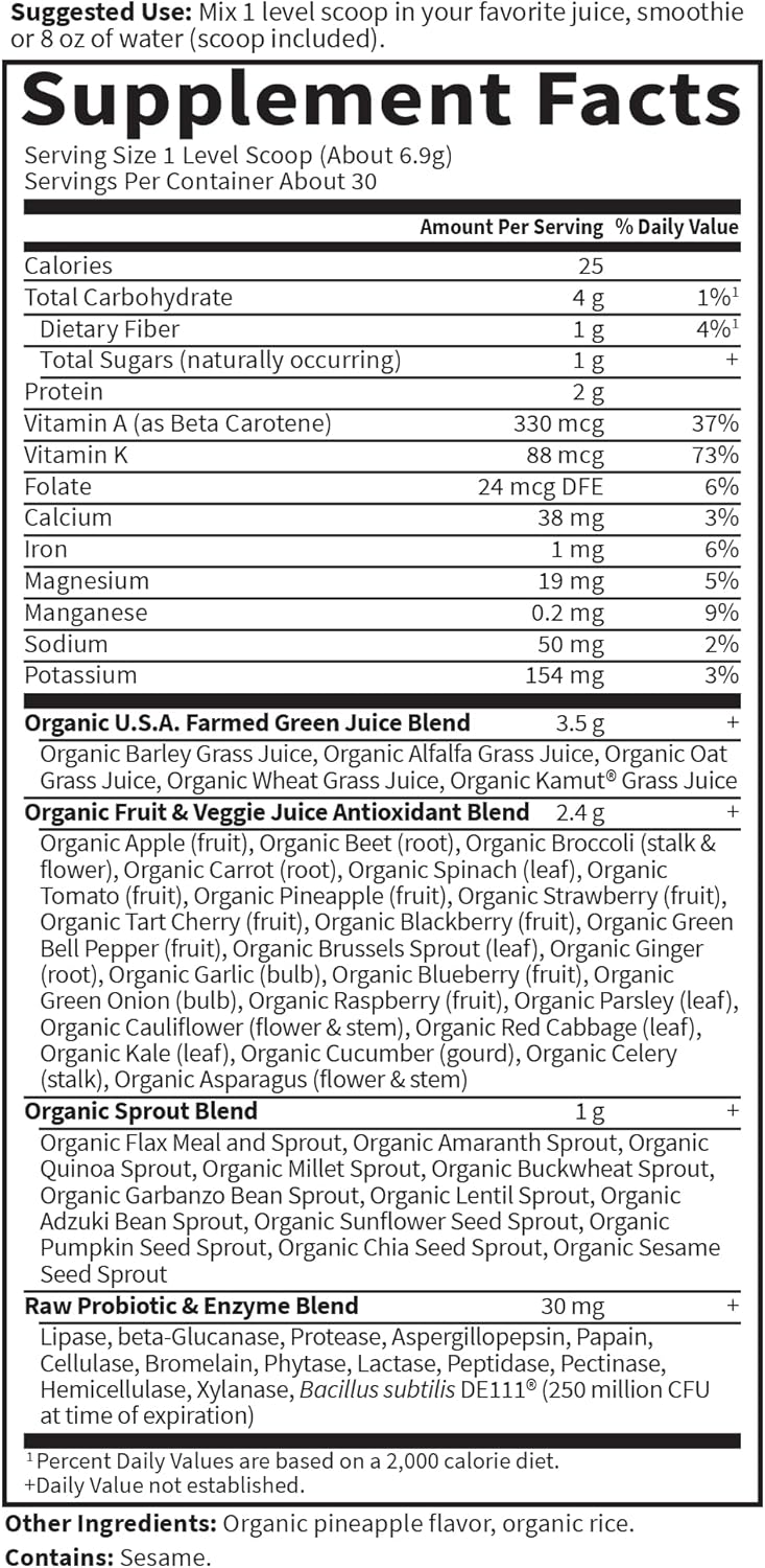 Garden of Life Raw  Perfect Food Juiced Greens Powder 7.29 oz 207 g
