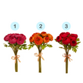 SOFT TOUCH RANUNCULUS BUNDLE (1)