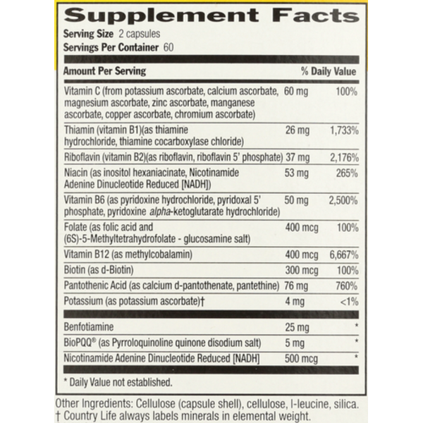 Country Life Coenzyme B-Complex Advanced - 120 Vegan Capsules