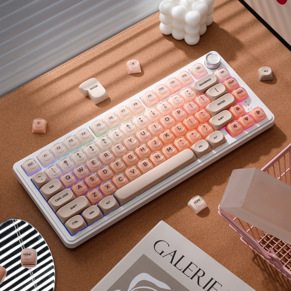XVX Foundation Series HOA Profile Translucent PBT+PC 132-Key Keycap Set