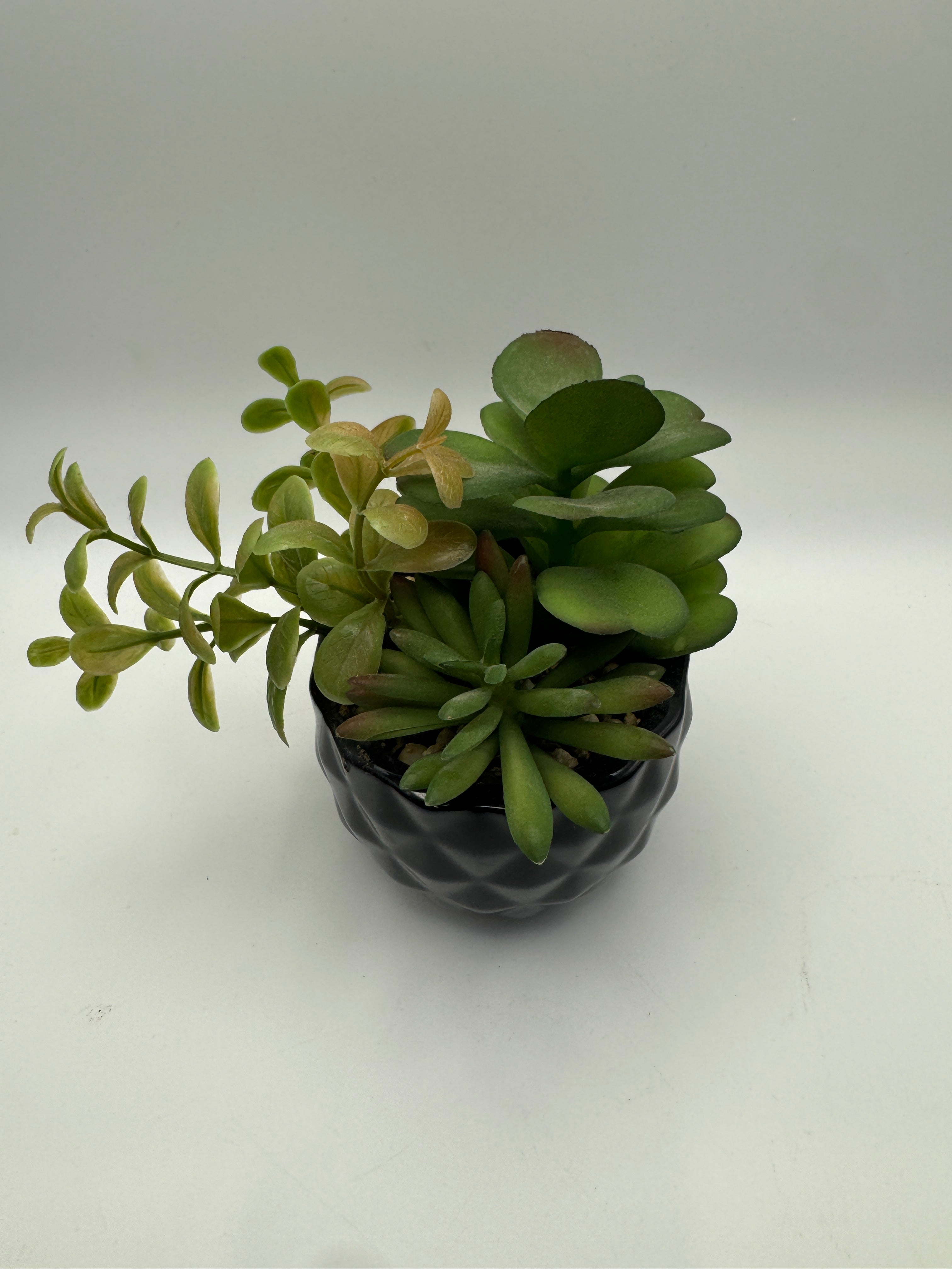 Faux Succulent Arrangement in Black Textured Vase