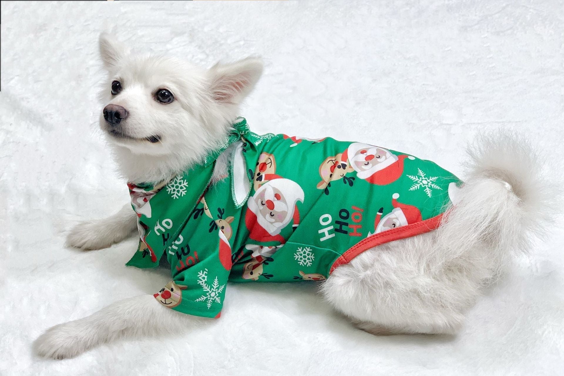 Family Matching Christmas Pajamas Set – Santa Claus Top & Sleepwear for Family