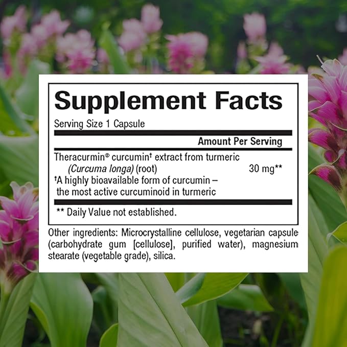 Natural Factors CurcuminRich Theracurmin 60 Vegetarian Capsules