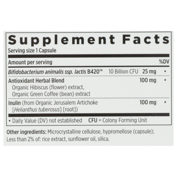 New Chapter Daily Dual Biotic Probiotic + Prebiotic Double Pack! – Fermented Support for Digestion & Microbiome Health, 60 Vegan Capsules (60-Day Supply)