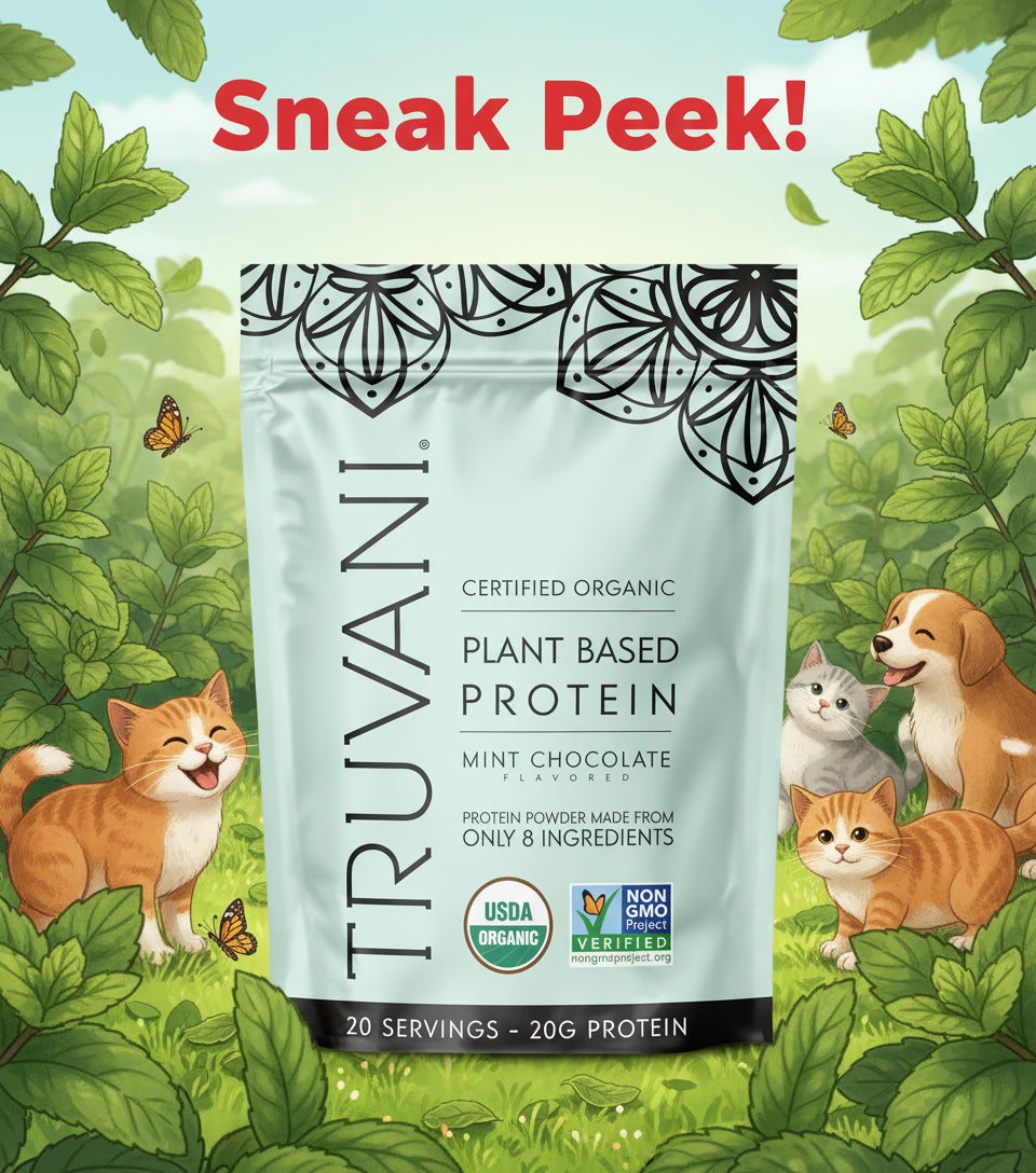 Truvani Organic Vegan Pea Protein Powder - Mint Chocolate | 20g Plant-Based Protein, Keto, Dairy & Gluten-Free (20 Servings)