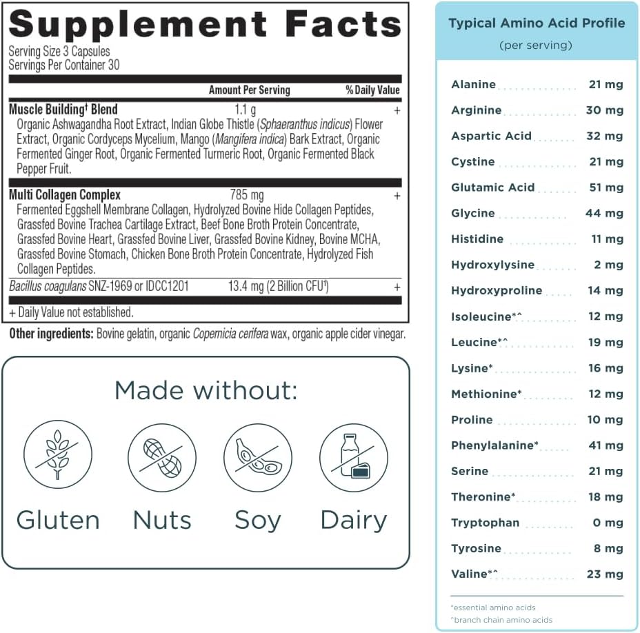 Ancient Nutrition Advanced Multi Collagen Protein Capsules Muscle 90 Count,– 10 Types of Collagen for Muscle Recovery & Joints (Unflavored)