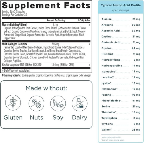 Ancient Nutrition Advanced Multi Collagen Protein Capsules Muscle 90 Count,– 10 Types of Collagen for Muscle Recovery & Joints (Unflavored)